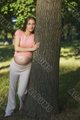 near the tree