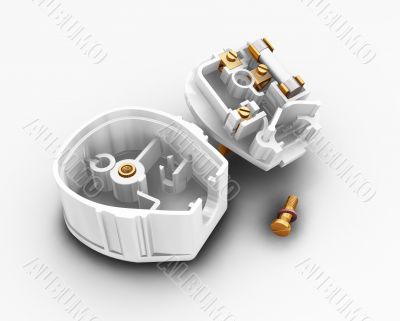 Dismantled plug