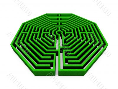 Maze