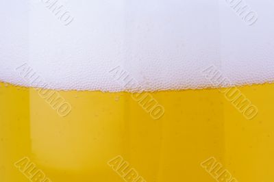 beer bubbles
