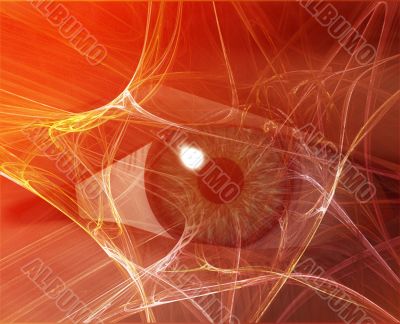 Digital vision