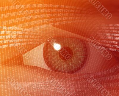 Digital vision