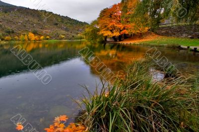 City lake