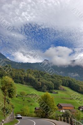 Alpine meadow
