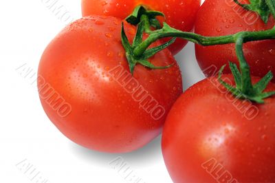 Tomato and drops of water (with Clipping Path)