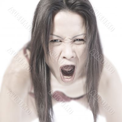 screaming asian 2