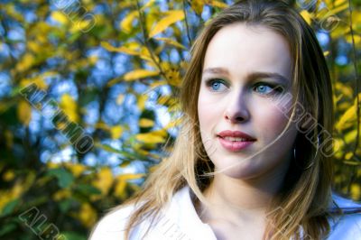 Blue eyes and yellow leaves