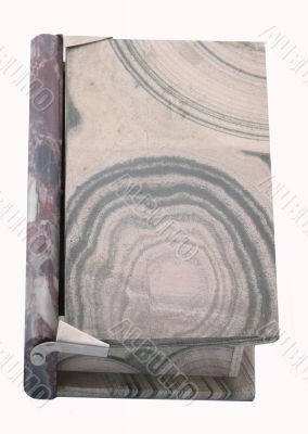jasper book