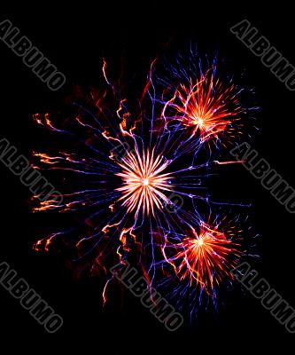 Firework in the night