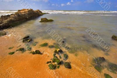 Stones acquired seaweed