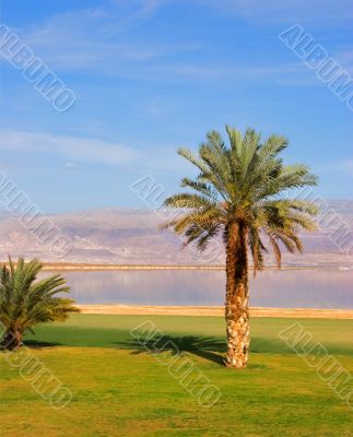 Morning landscape