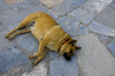 Santorini, Greece