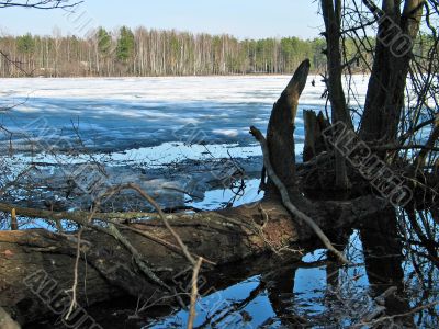 spring lake 2