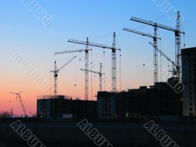 sunset cranes