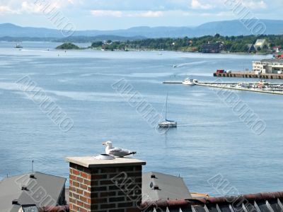 summer Oslo fjord