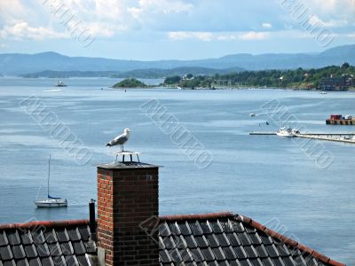 Oslo fjord
