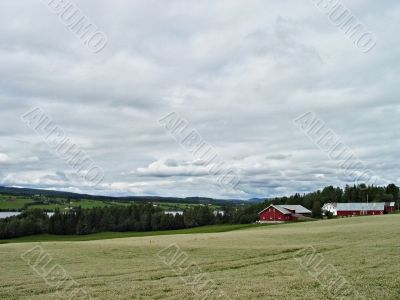 Norway farm