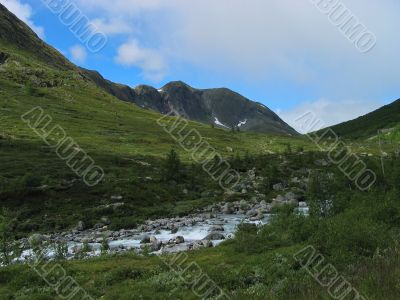 Stream in a green valley