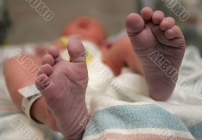 New Born Feet