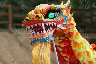 Dancing Dragon