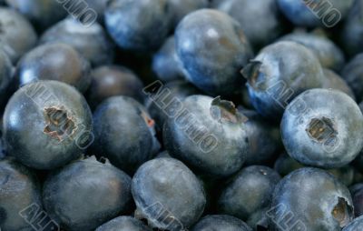 Organic Blueberries