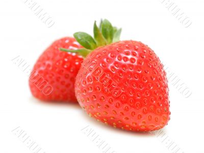 Organic Strawberries