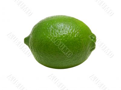 Lime