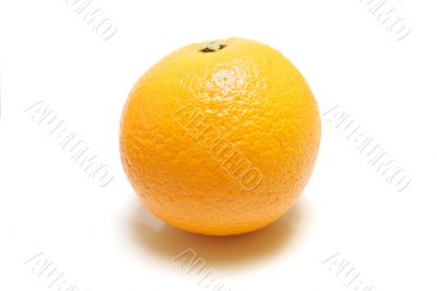 Organic Orange