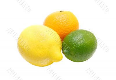 Citrus Trio