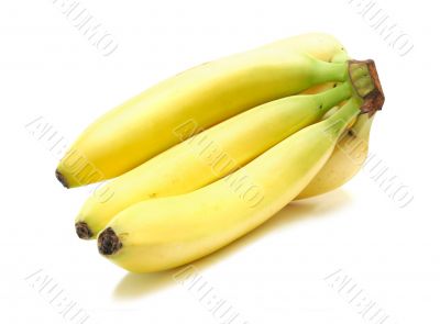 Bananas