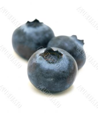 Blueberries trio