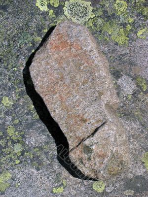 footprint