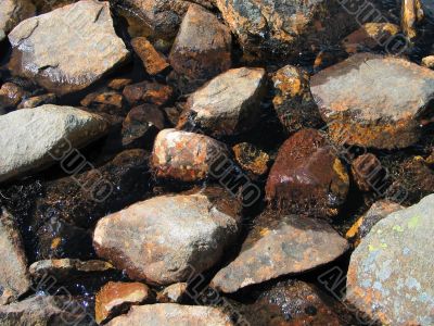 stones in the water