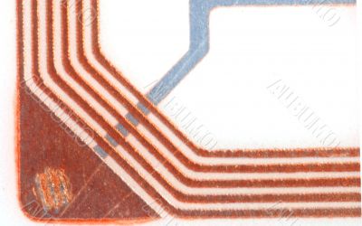 Close ups of tags