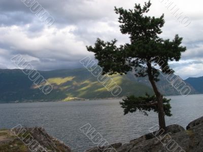 Sognefjorden,Norway