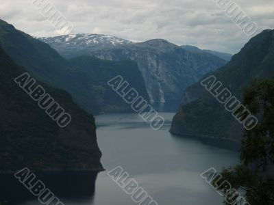Norwegian beauty