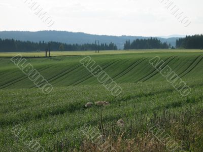 countryside landscape
