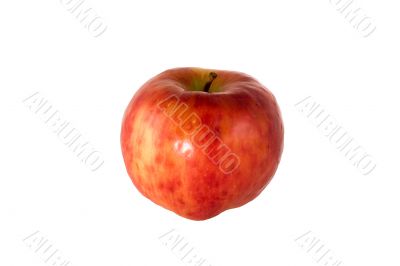 Red apple