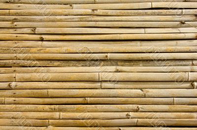 bamboo background