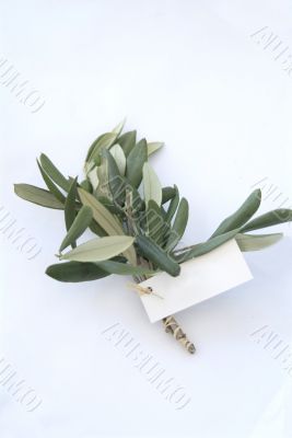 branch with white label