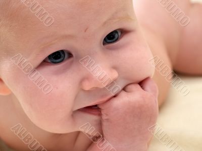 baby portrait