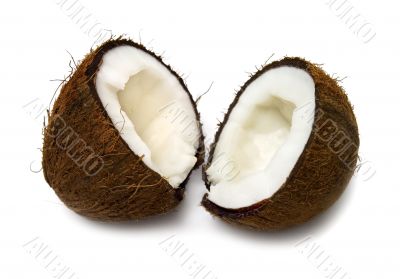 coconut