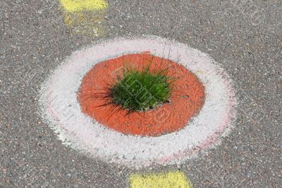 Grass on asphalt