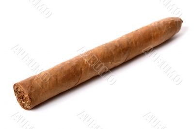 Cuban cigar