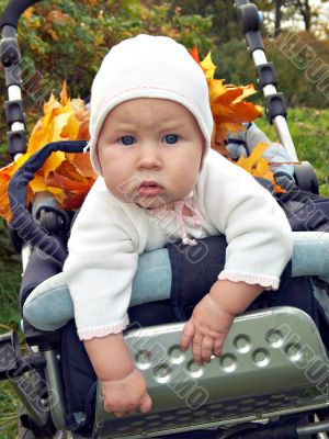 autumn stroll