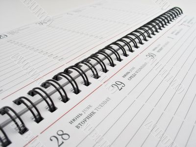 diary