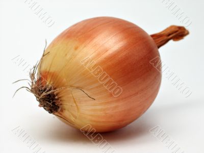 golden onion