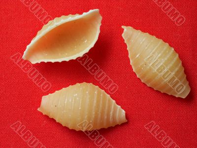 cockle-shell macaroni