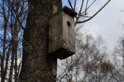 Bird box