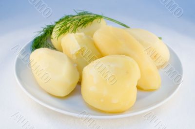 Eat